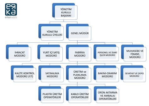 Fabrika organizasyon şeması örnekleri